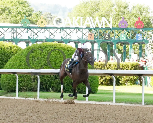 THORPEDO ANNA - The Apple Blossom Handicap - G1 - 04-12-25 - R11 - OP - Finish 03 Oaklawn Park
