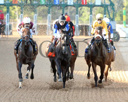THORPEDO ANNA - The Apple Blossom Handicap - G1 - 04-12-25 - R11 - OP - First Turn 01 Oaklawn Park