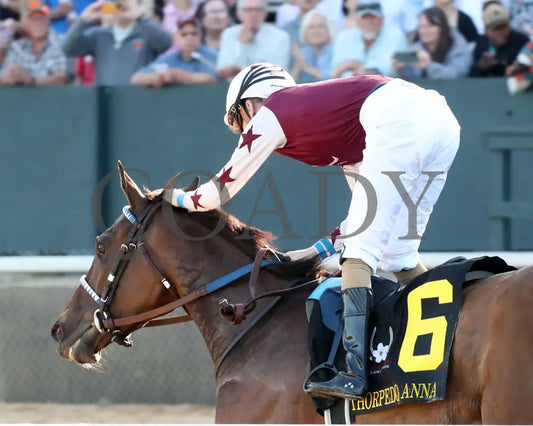 THORPEDO ANNA - The Apple Blossom Handicap - G1 - 04-12-25 - R11 - OP - Gallop Out 01 Oaklawn Park