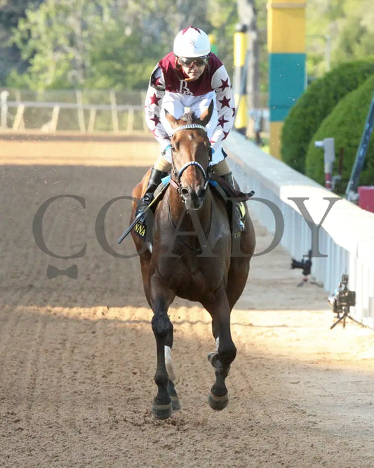 THORPEDO ANNA - The Apple Blossom Handicap - G1 - 04-12-25 - R11 - OP - Gallop Out 02 Oaklawn Park