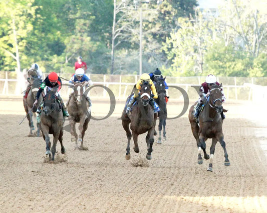 THORPEDO ANNA - The Apple Blossom Handicap - G1 - 04-12-25 - R11 - OP - Head On 01 Oaklawn Park