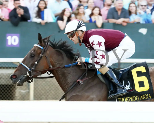 THORPEDO ANNA - The Apple Blossom Handicap - G1 - 04-12-25 - R11 - OP - Inside Finish 01 Oaklawn Park