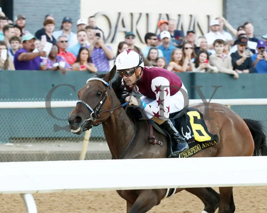 THORPEDO ANNA - The Apple Blossom Handicap - G1 - 04-12-25 - R11 - OP - Inside Finish 02 Oaklawn Park