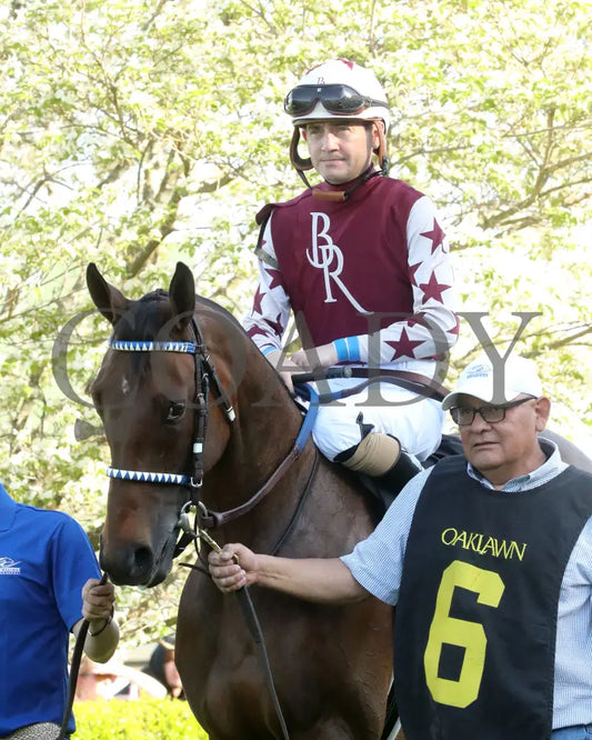 THORPEDO ANNA - The Apple Blossom Handicap - G1 - 04-12-25 - R11 - OP - Paddock 01 Oaklawn Park