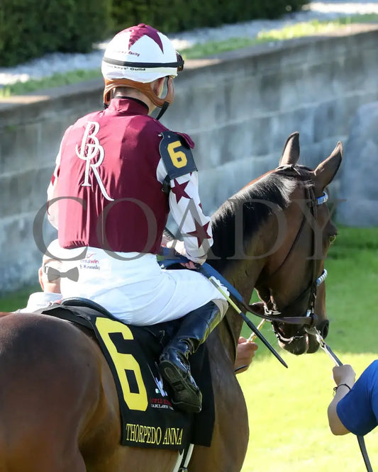 THORPEDO ANNA - The Apple Blossom Handicap - G1 - 04-12-25 - R11 - OP - Paddock 06 Oaklawn Park