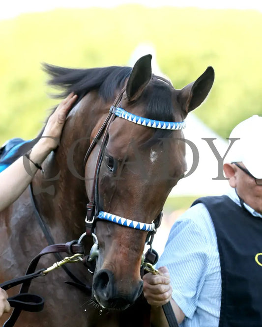 THORPEDO ANNA - The Apple Blossom Handicap - G1 - 04-12-25 - R11 - OP - Paddock 07 Oaklawn Park