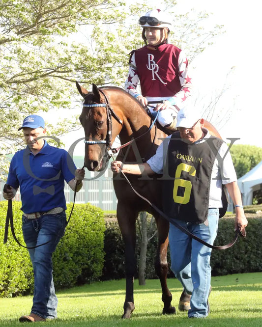 THORPEDO ANNA - The Apple Blossom Handicap - G1 - 04-12-25 - R11 - OP - Paddock 08 Oaklawn Park