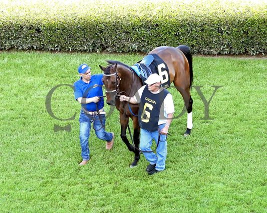 THORPEDO ANNA - The Apple Blossom Handicap - G1 - 04-12-25 - R11 - OP - Paddock 09 Oaklawn Park