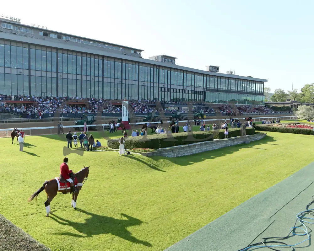 THORPEDO ANNA - The Apple Blossom Handicap - G1 - 04-12-25 - R11 - OP - Paddock 10 Oaklawn Park