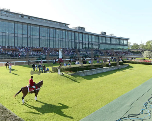 THORPEDO ANNA - The Apple Blossom Handicap - G1 - 04-12-25 - R11 - OP - Paddock 10 Oaklawn Park