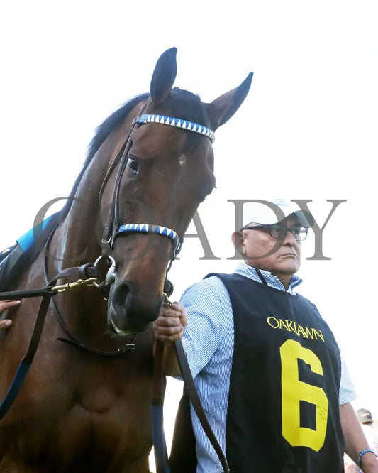 THORPEDO ANNA - The Apple Blossom Handicap - G1 - 04-12-25 - R11 - OP - Paddock 11 Oaklawn Park