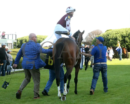 THORPEDO ANNA - The Apple Blossom Handicap - G1 - 04-12-25 - R11 - OP - Paddock 13 Oaklawn Park