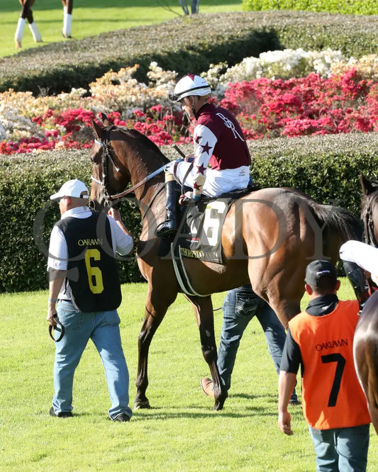 THORPEDO ANNA - The Apple Blossom Handicap - G1 - 04-12-25 - R11 - OP - Paddock 04 Oaklawn Park