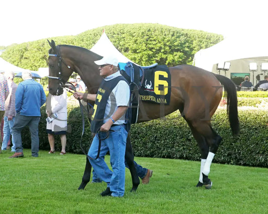 THORPEDO ANNA - The Apple Blossom Handicap - G1 - 04-12-25 - R11 - OP - Paddock 12 Oaklawn Park