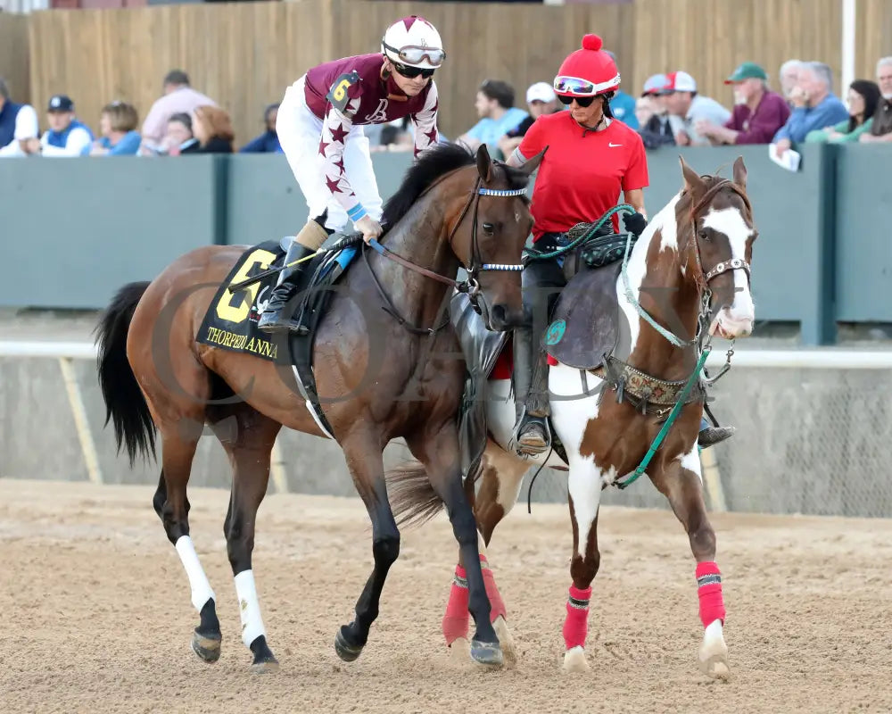 THORPEDO ANNA - The Apple Blossom Handicap - G1 - 04-12-25 - R11 - OP - Post Parade 02 Oaklawn Park