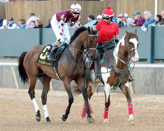 THORPEDO ANNA - The Apple Blossom Handicap - G1 - 04-12-25 - R11 - OP - Post Parade 02 Oaklawn Park