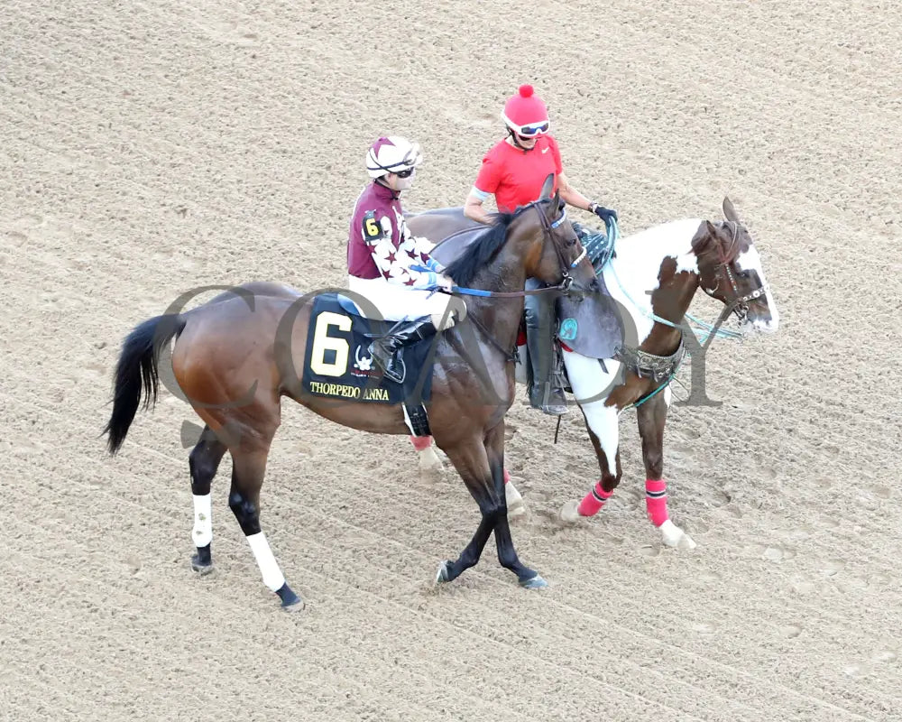 THORPEDO ANNA - The Apple Blossom Handicap - G1 - 04-12-25 - R11 - OP - Post Parade 05 Oaklawn Park