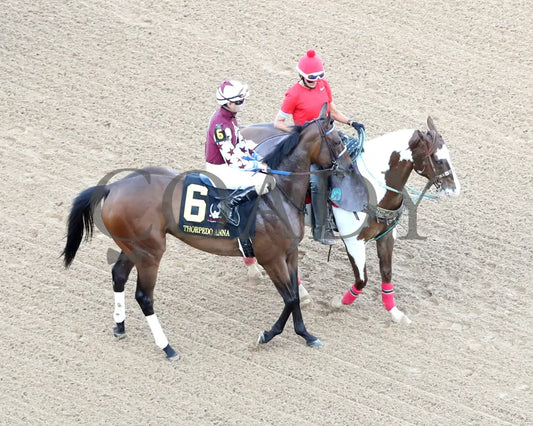 THORPEDO ANNA - The Apple Blossom Handicap - G1 - 04-12-25 - R11 - OP - Post Parade 05 Oaklawn Park