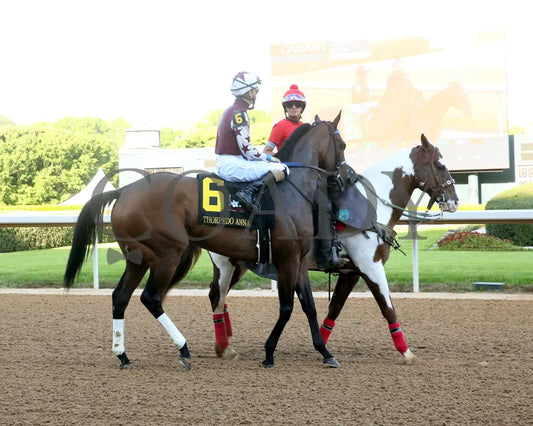 THORPEDO ANNA - The Apple Blossom Handicap - G1 - 04-12-25 - R11 - OP - Post Parade 06 Oaklawn Park