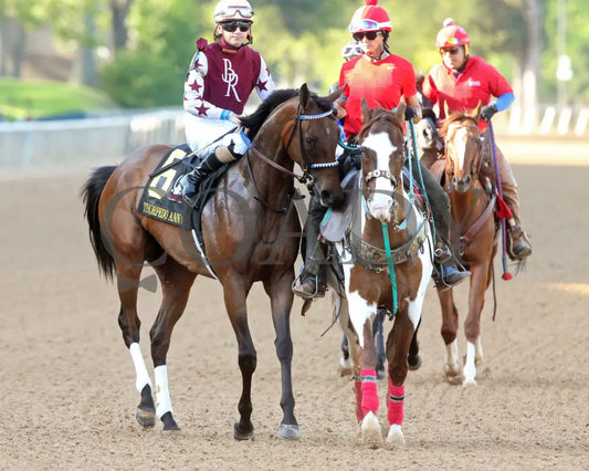 THORPEDO ANNA - The Apple Blossom Handicap - G1 - 04-12-25 - R11 - OP - Post Parade 04 Oaklawn Park