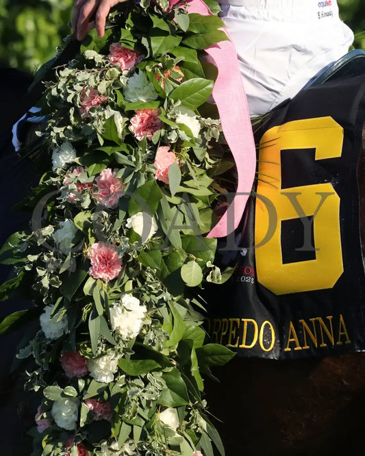 THORPEDO ANNA - The Apple Blossom Handicap - G1 - 04-12-25 - R11 - OP - Saddle Towel 01 Oaklawn Park