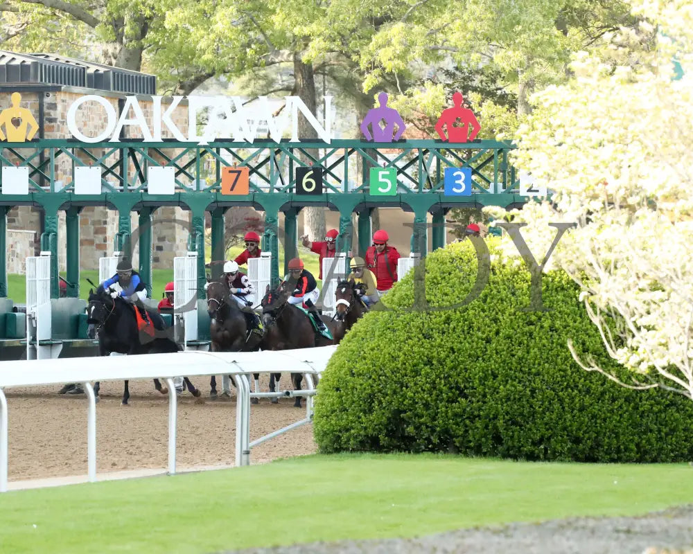 THORPEDO ANNA - The Apple Blossom Handicap - G1 - 04-12-25 - R11 - OP - Start 01 Oaklawn Park