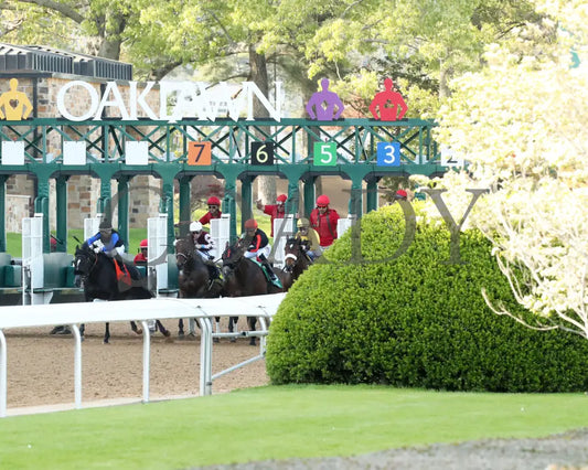 THORPEDO ANNA - The Apple Blossom Handicap - G1 - 04-12-25 - R11 - OP - Start 01 Oaklawn Park