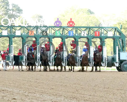 THORPEDO ANNA - The Apple Blossom Handicap - G1 - 04-12-25 - R11 - OP - Start 02 Oaklawn Park