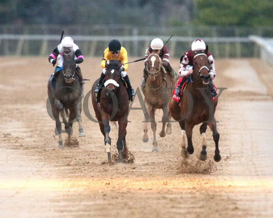 THORPEDO ANNA - The Azeri Stakes G2 - 38th Running - 03-08-25 - R10 - OP - Head On 01 Oaklawn Park