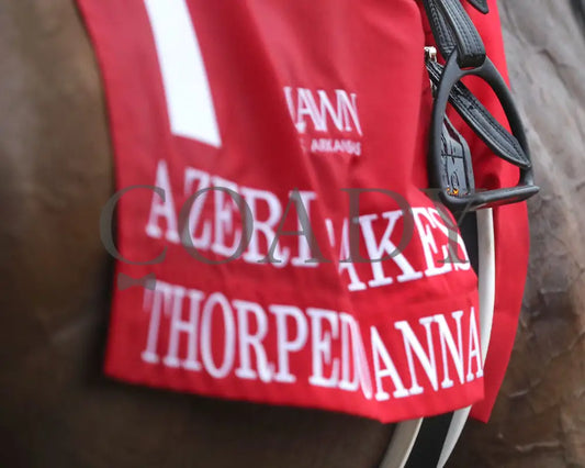 THORPEDO ANNA - The Azeri Stakes G2 - 38th Running - 03-08-25 - R10 - OP - Scenic 02 - Coady Media - Kurtis Coady Photography