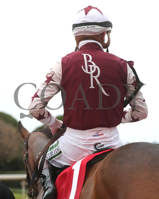 THORPEDO ANNA - The Azeri Stakes G2 - 38th Running - 03-08-25 - R10 - OP - Scenic 03 Oaklawn Park