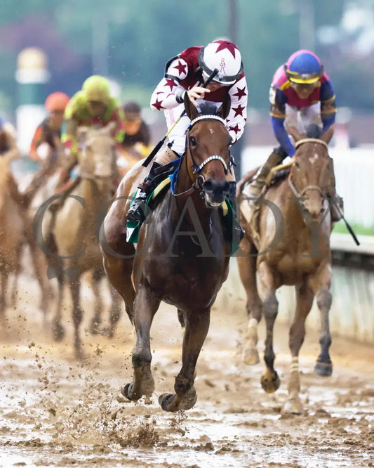 Thorpedo Anna - The Longines Kentucky Oaks G1 05-03-24 R11 Churchill Downs Head On 04