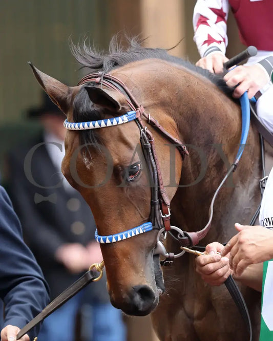 Thorpedo Anna - The Longines Kentucky Oaks G1 05-03-24 R11 Churchill Downs Paddock 02