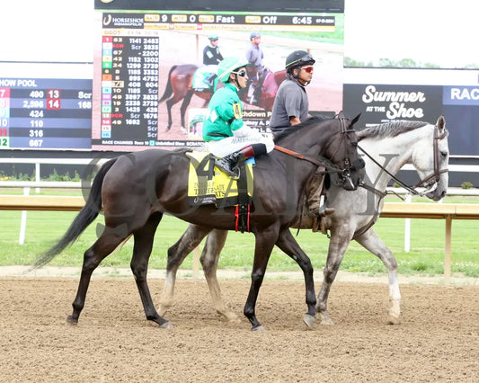 Three Coats - Indiana First Lady 21St Running 07-31-24 R09 Horseshoe Post Parade 01 Sammantha