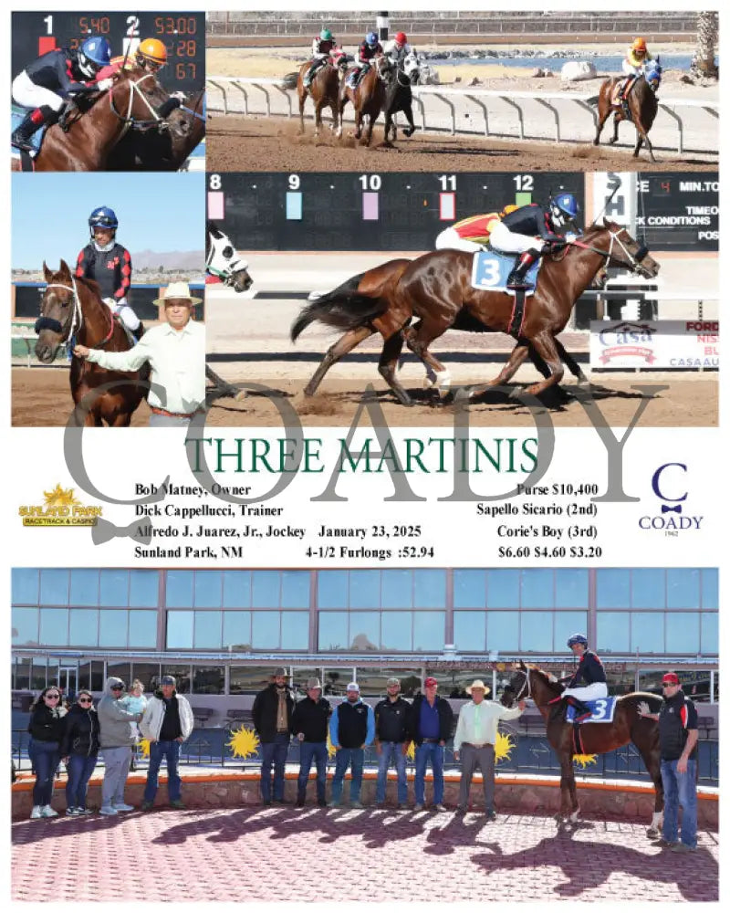 Three Martinis - 01-23-25 R04 Sun Turfway Park