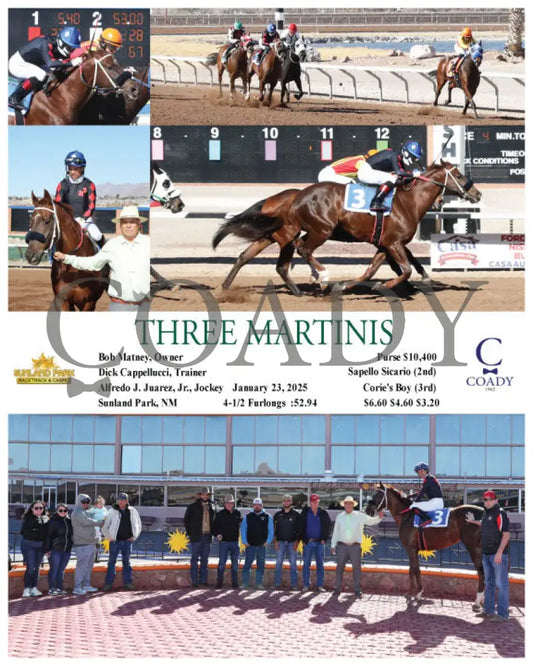Three Martinis - 01-23-25 R04 Sun Turfway Park