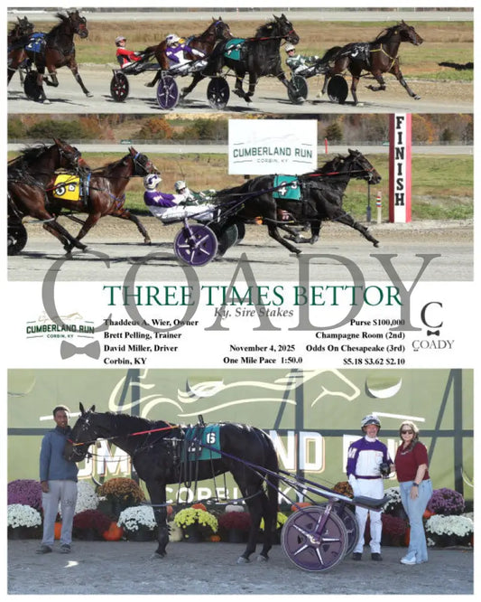 THREE TIMES BETTOR - Ky. Sire Stakes - 11-04-25 - R06 - CMR Presque Isle Downs