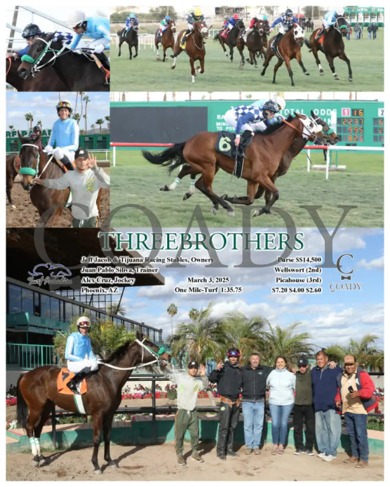 THREEBROTHERS - 03-03-25 - R07 - TUP Turf Paradise