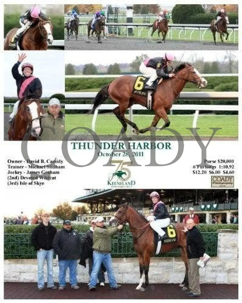 Thunder Harbor - 102811 Keeneland