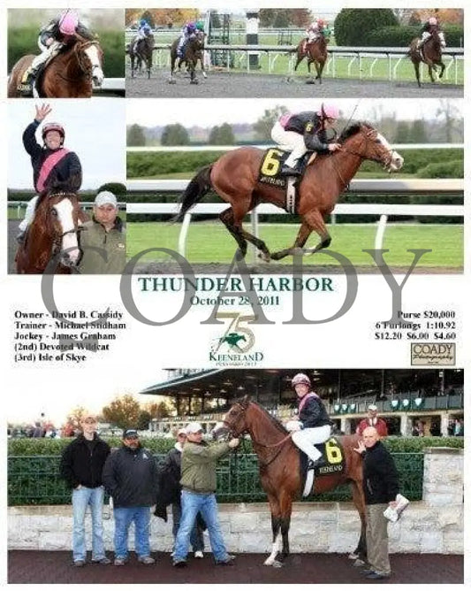 Thunder Harbor - 102811 Keeneland