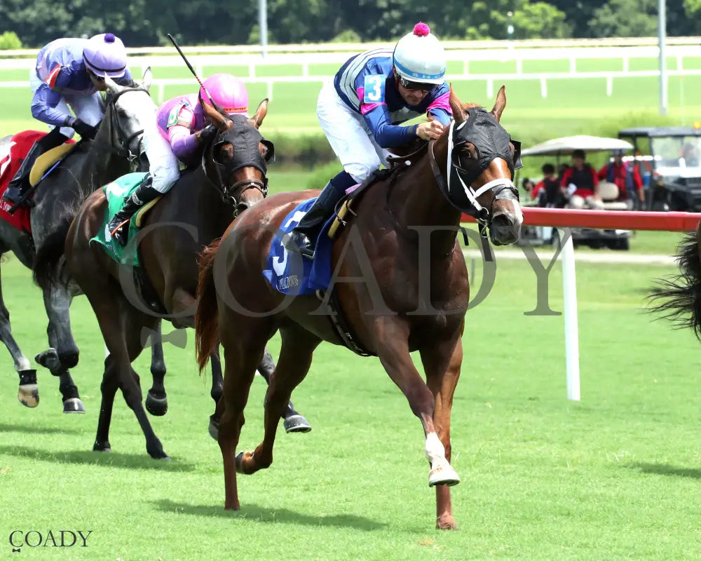 THURSDAY GIRL - The Brookmeade Stakes - 07-19-25 - R03 - CNL - Finish 02 Colonial Downs