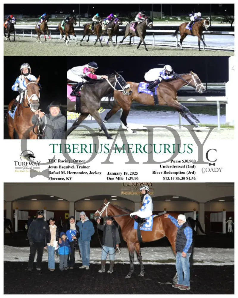 Tiberius Mercurius - 011825 Race 08 Tp Turfway Park