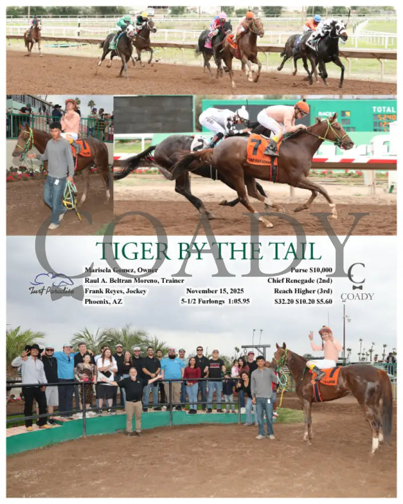 TIGER BY THE TAIL - 11-15-25 - R04 - TUP Turf Paradise