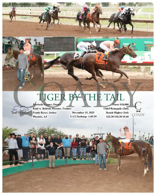 TIGER BY THE TAIL - 11-15-25 - R04 - TUP Turf Paradise