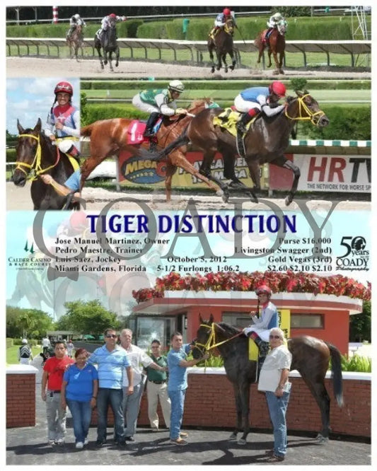 Tiger Distinction - 100512 Race 01 Calder Course