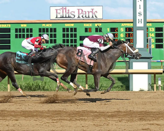 Tiger Moth - 081317 Race 08 Elp Finish 1 Ellis Park