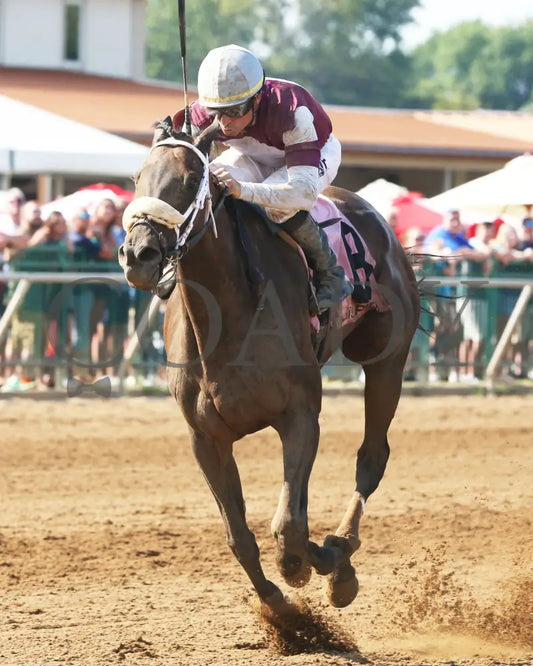 Tiger Moth - 081317 Race 08 Elp Inside Finish 2 Ellis Park