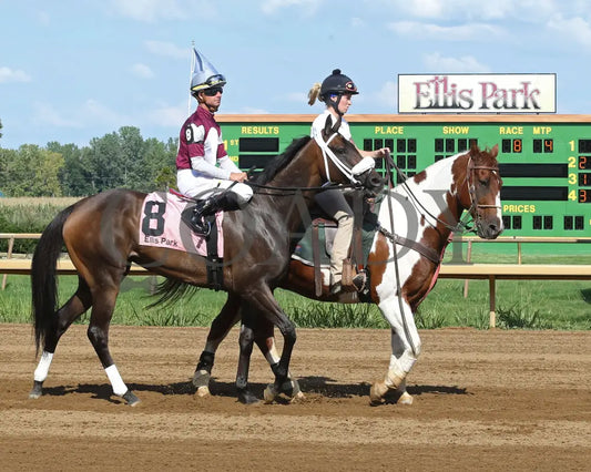 TIGER MOTH - 081317 - Race 08 - ELP - Post Parade 2 - Coady Media - Kurtis Coady Photography
