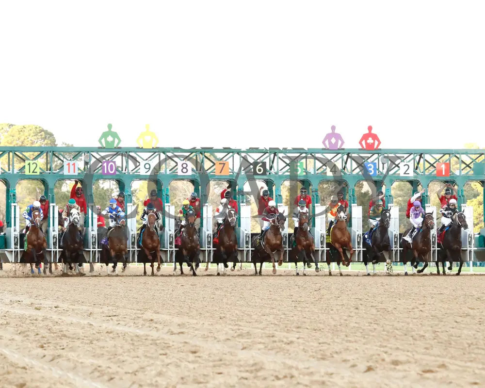 Timberlake - Rebel Stakes G2 64Th Running 02-24-24 R11 Op Start 01 Oaklawn Park