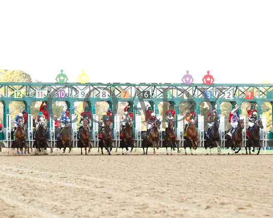 Timberlake - Rebel Stakes G2 64Th Running 02-24-24 R11 Op Start 01 Oaklawn Park